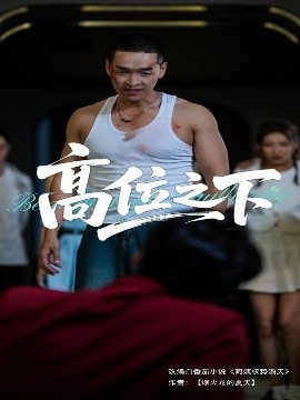 爱情公寓下载
