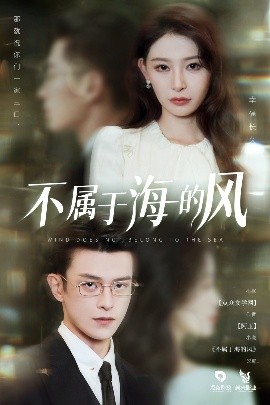 顶楼的大象在线观看