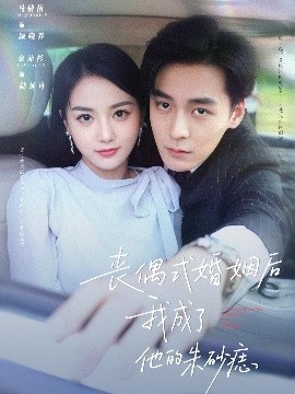 公主恋人ova全集