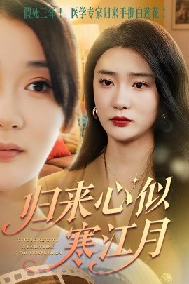 明月几时有歌曲王菲