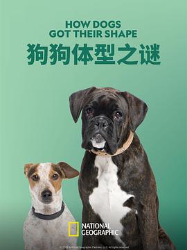 凌晨三点看的电影www