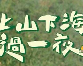 松岛枫电影全集