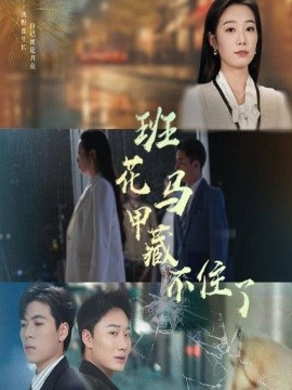 四虎2019最新免费观看