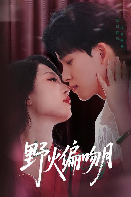 电视剧风筝下载