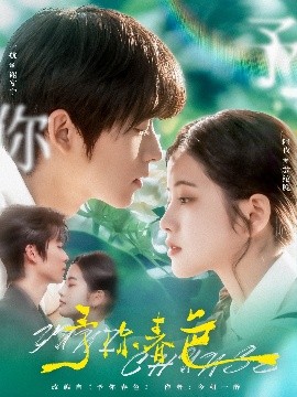 honey 朴振英